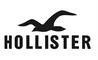 Hollister logo